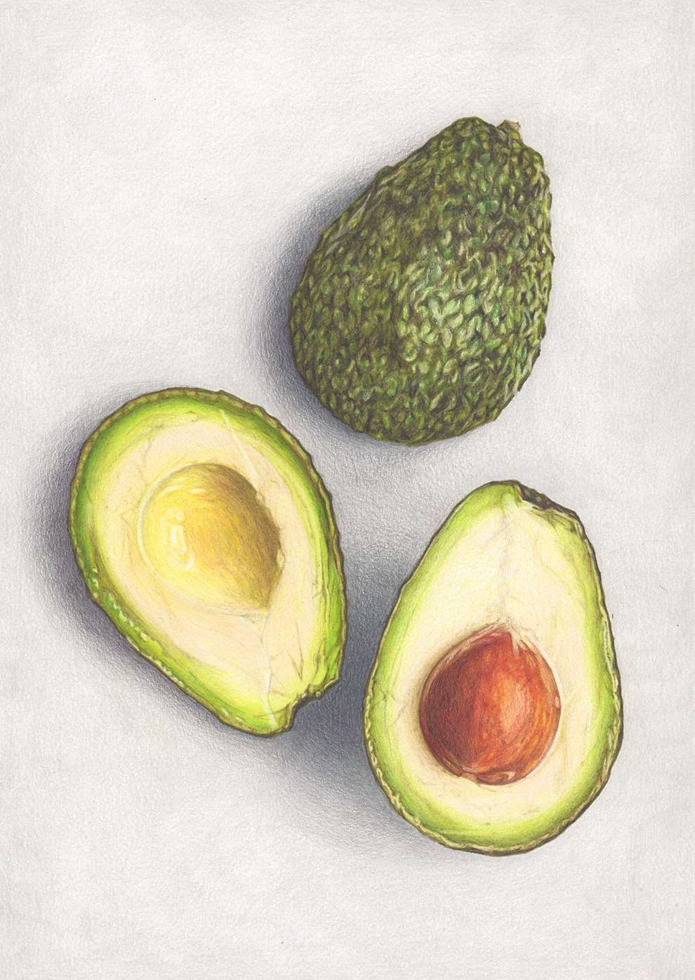 Pencil on Paper, A close-up pencil-drawn illustration of an avocado.